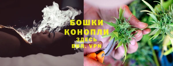 крисы Арсеньев