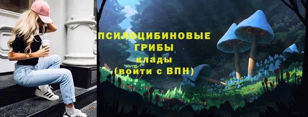 крисы Арсеньев