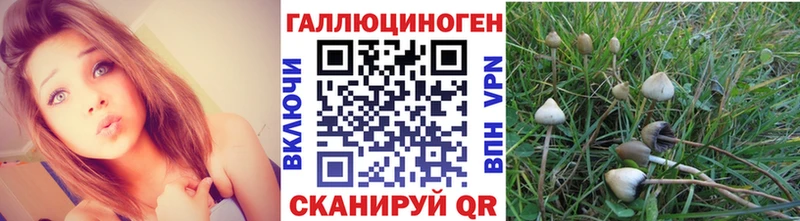 Псилоцибиновые грибы мицелий  гидра рабочий сайт  Городище 